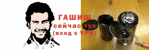 дмт Костерёво