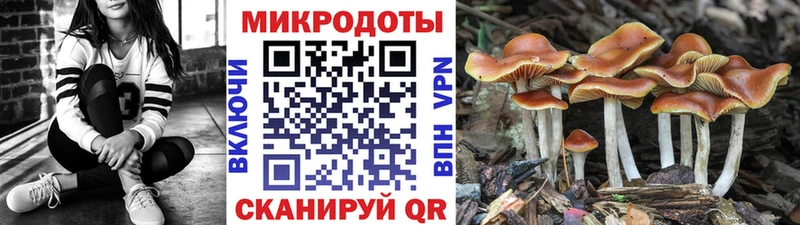 Галлюциногенные грибы MAGIC MUSHROOMS Купить где Полтавская