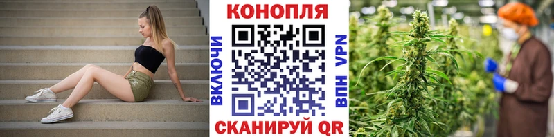 Купить Полтавская Канабис OG Kush